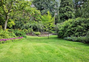 Optimiser l'expérience du jardin à Precy-sur-Marne